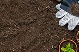 The Benefits of Brown Mulch for Your Garden: A Comprehensive Guide