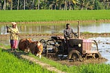 How unprecedented weather and climate change affects our farmers