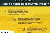 How to build an ecosystem in 2021?