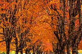Autumn in Washington