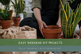 Billy Theuring on Easy Weekend DIY Projects | Phoenix, Arizona