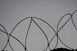 Black and white photo of barbed wires.