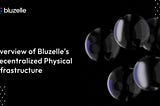 Bluzelle: Pioneering Decentralized Physical Infrastructure for the Digital Age