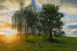 The Tale of Two Trees