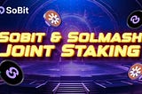 Sobit and SolMash Announce Joint Staking Campaign