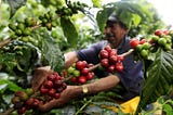Da McDonald’s sì, ma senza caffè vegano (o qualcosa del genere)