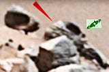 Pictures of sneaky little things on Planet Mars