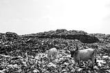 Introducing a Very High-Resolution Dataset of Landfills and Waste Dumps
