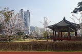 Cherry trees bloom in front of a pagoda. Tall apartment buildings can be seen in the distance.