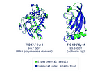 DeepMind AI AlphaFold: A monumental feat for Science