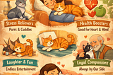 🐾 Why We Need Cats in Our Lives