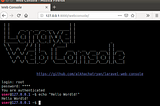 Laravel WebConsole or I use a shared hosting