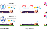 New Study Aims to Induce Lucid Dreams with Light, Sound, and Vibration