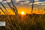 Relaxation Music for Stress Relief: https://youtu.be/MVpph9rjkSk