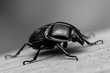 A black and white AI generated photo style image of a beetle