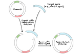 Starter Toolkit Series: Molecular Cloning