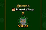 What’s in it for you as a $BNB/$ViCat liquidity provider?