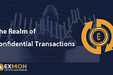 Anonymous Exchanges: The Realm of Confidential Transactions