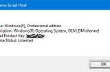 Microsoft Windows — OEM License
