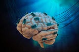 The WICKED Side of Human Brain-Cell-Powered Computers