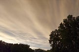 Cloudy sky behind trees. The clouds appear to be streaming from a point to the left of the image