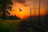 Birds are on a one-way path to annihilation due to climate change.