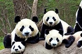 4x Faster Pandas Operations with Minimal Code Change