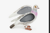 When Pigeons Turn Posh: The $890 Clutch That’s Ruffling Feathers”