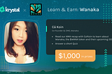 Learn & Earn: Wanaka