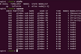 Building a Raspberry Pi Cluster