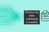 Prisma runtime custom validation to models