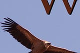 Children’s alphabet-style poster of “V is for Vulture,” a symbol of ICE