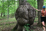 Knobstone Trail