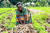 Beyond the theory: How lean impact evaluations are transforming WFP programmes