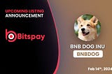 📣Bitspay Will List 
BNB DOG INU (BNBDOG) Token
