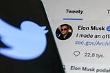 Elon Musk & Twitter: la bolla dei profili dei social media