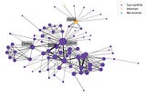 Network Science and the Coronavirus Outbreak