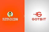Partnership with GOTBIT: A New Horizon