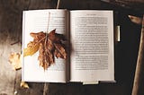 Photo of an open book with an autumnal leaf laying on one of the pages.