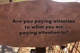 Are You Paying Attention to What You’re Paying Attention To?