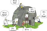 The Agile way : addressing the elephant