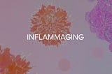 Inflammaging