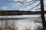 Snow on a riverbank with a bare tree in the foreground.