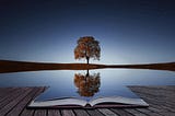 Reflecting on a Journey-Amal Academy