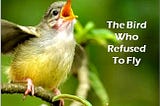 The Bird Who Refused To Fly