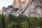 Two deer grazing, the forest and granite dolomite in the background at the Yosemite Valley.