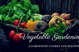 How to start vegetable gardening?