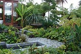 How to Create a Jungle Paradise in Your Garden