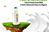 Fresh Cow Milk: A Versatile Ingredient for Your Kitchen