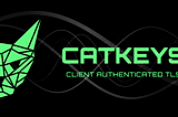 Securing Node services using Client Authenticated TLS with CATKeys